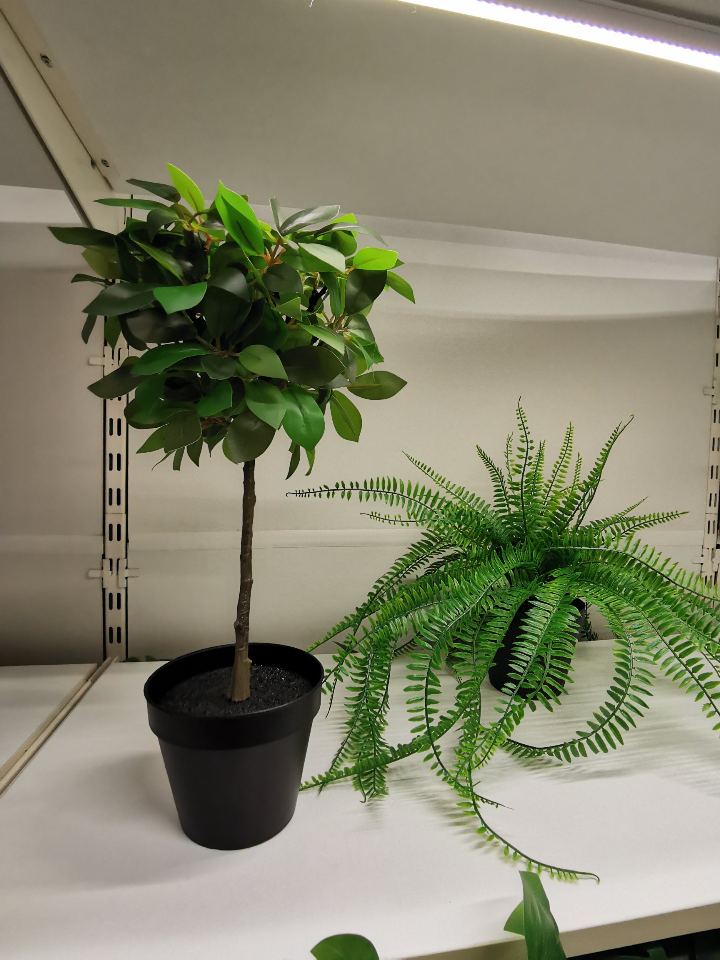 Kunstige planter og blomster fra IKEA